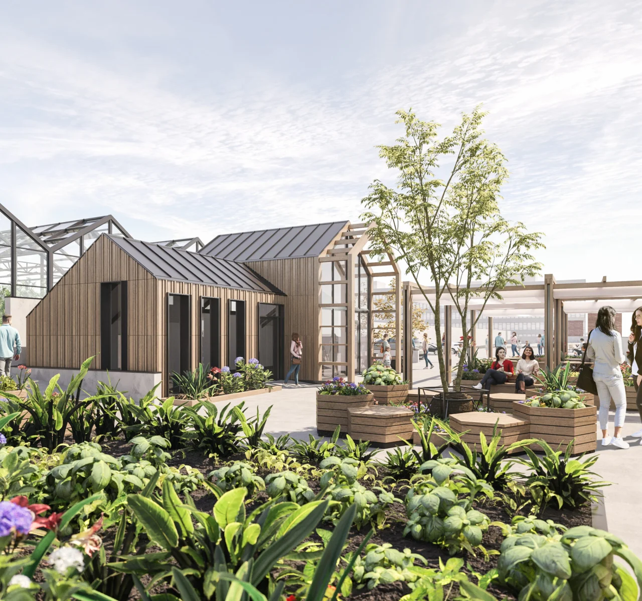 Vyse Street rooftop farm visualisation with timber pavilions and planted beds, Birmingham's Jewellery Quarter