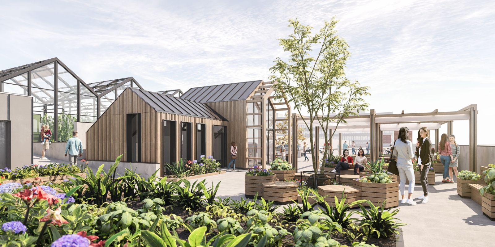 Vyse Street rooftop farm visualisation with timber pavilions and planted beds, Birmingham's Jewellery Quarter