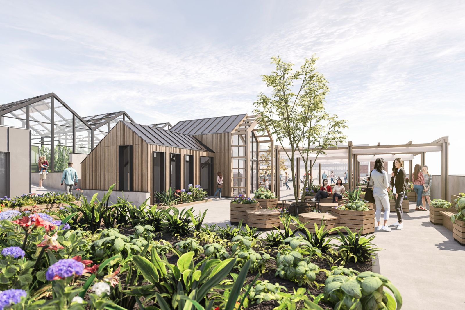 Vyse Street Food Project, rooftop urban farm in Birmingham's Jewellery Quarter: exterior visualisation