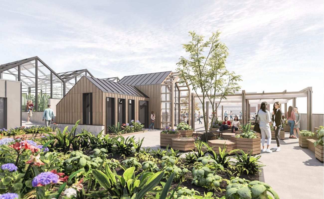 Vyse Street Food Project, rooftop urban farm in Birmingham's Jewellery Quarter: exterior visualisation