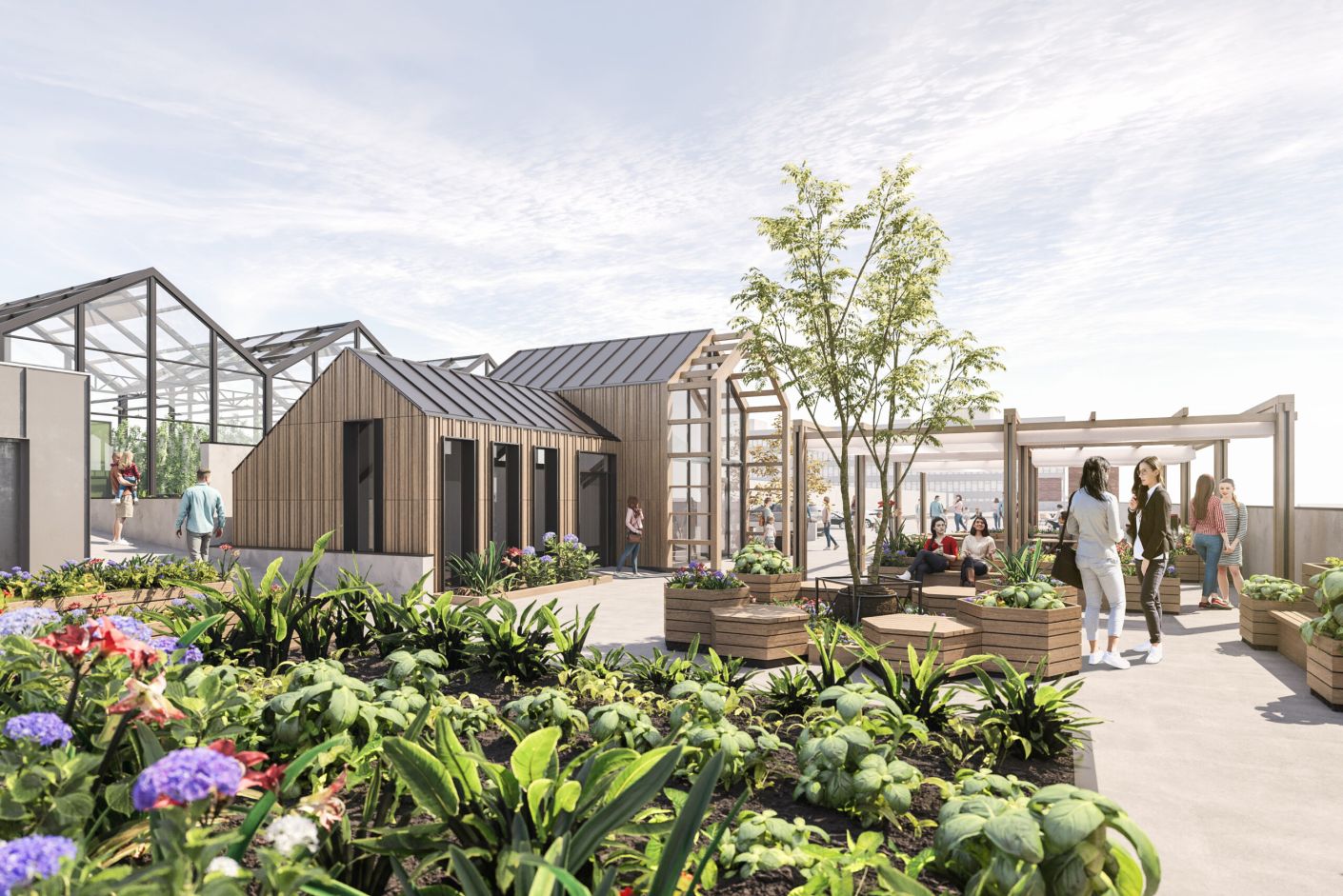 Vyse Street Food Project, rooftop urban farm in Birmingham's Jewellery Quarter: exterior visualisation